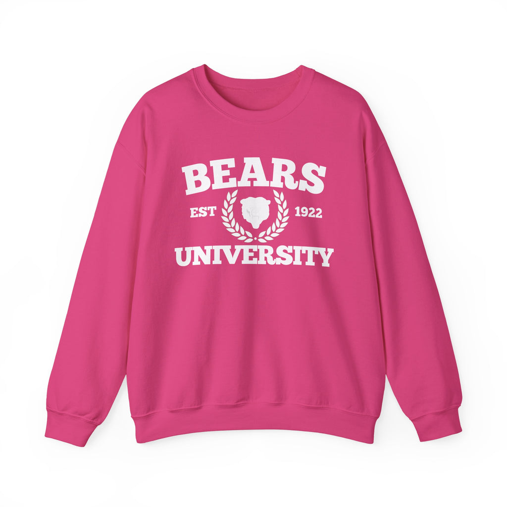 Sporty Soul. Ladies, Crew Neck, Medium Weight, Graphic Sweatshirt. University Style.