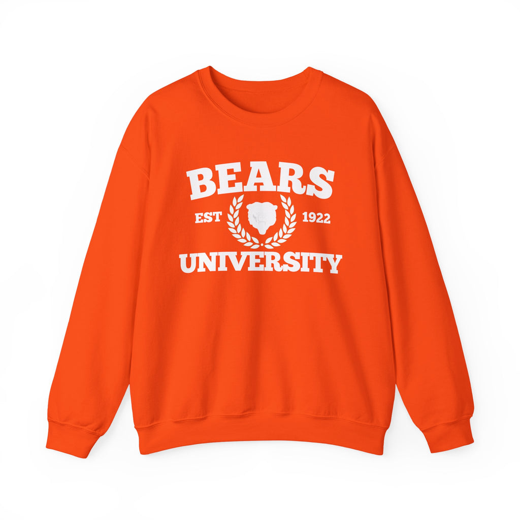 Sporty Soul. Ladies, Crew Neck, Medium Weight, Graphic Sweatshirt. University Style.