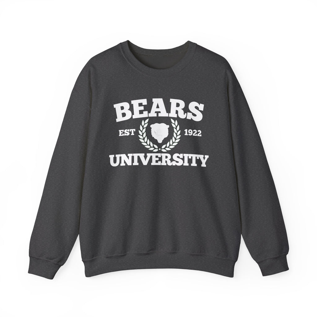 Sporty Soul. Ladies, Crew Neck, Medium Weight, Graphic Sweatshirt. University Style.